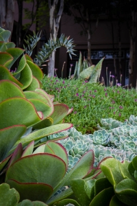 Featherbrooke Estate