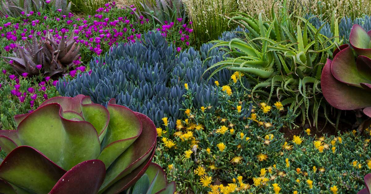 Landscaping blog - Do you need a garden consultation?